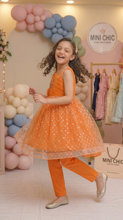 Dusty Orange Royal Fancy Net Frock Set