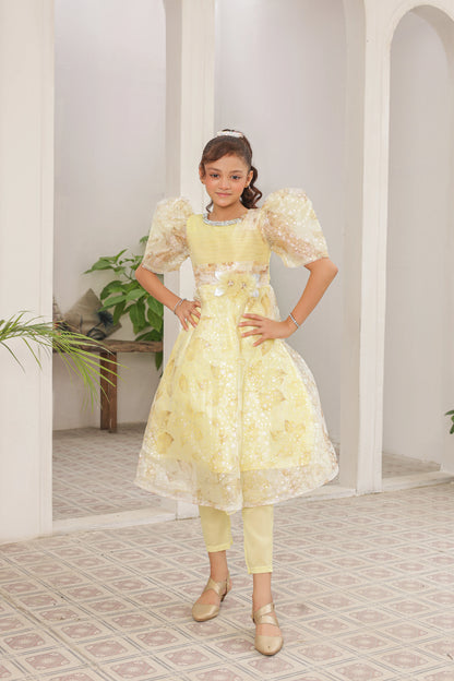 Amber Lily Frock Imported China Printed Tissue Fabric