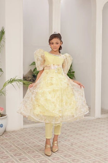 Amber Lily Frock Imported China Printed Tissue Fabric