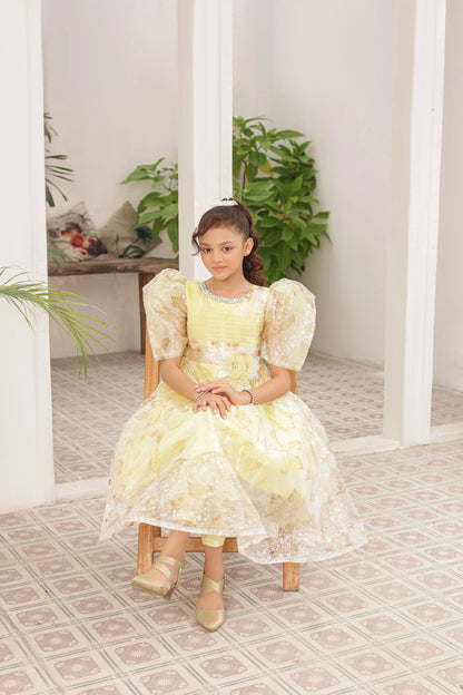Amber Lily Frock Imported China Printed Tissue Fabric