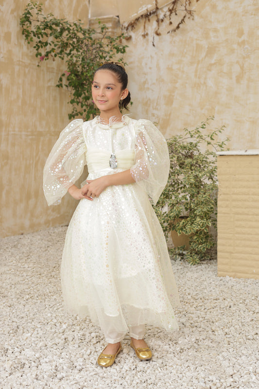 Fairy Dust Frock Imported China Printed Nylon Fabric