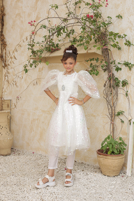 Fairy Frosted Frock Imported China Printed Nylon Fabric