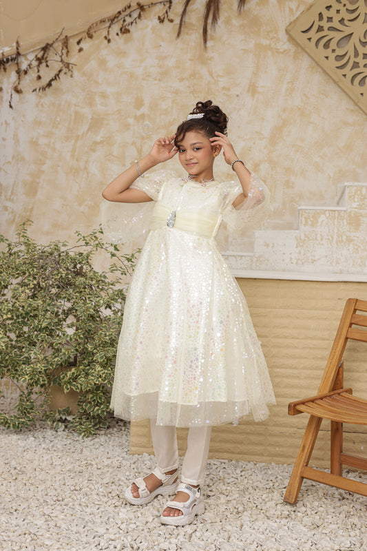Dreamlight Princess Frock Imported China Printed Nylon Fabric