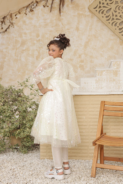 Dreamlight Princess Frock Imported China Printed Nylon Fabric
