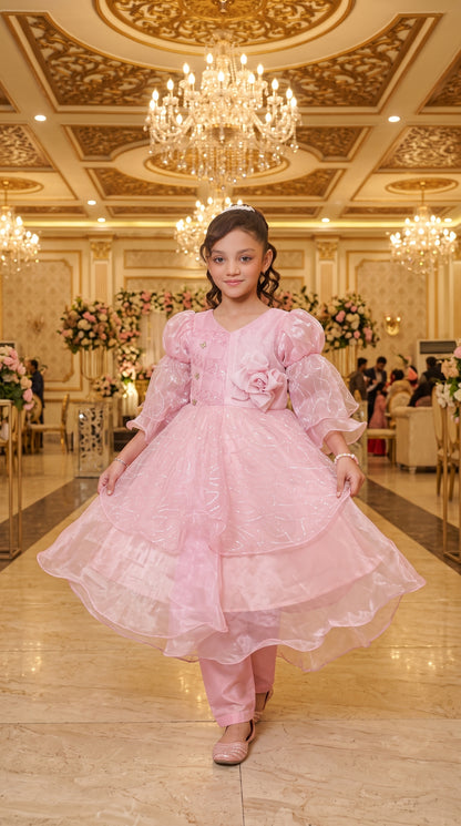 Beauty Bush Elegant Party Wear Net Frock Set