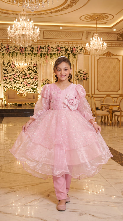 Beauty Bush Elegant Party Wear Net Frock Set