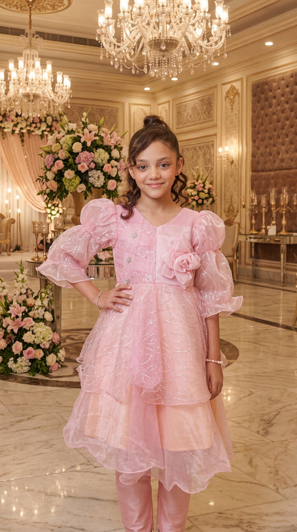 Beauty Bush Elegant Party Wear Net Frock Set