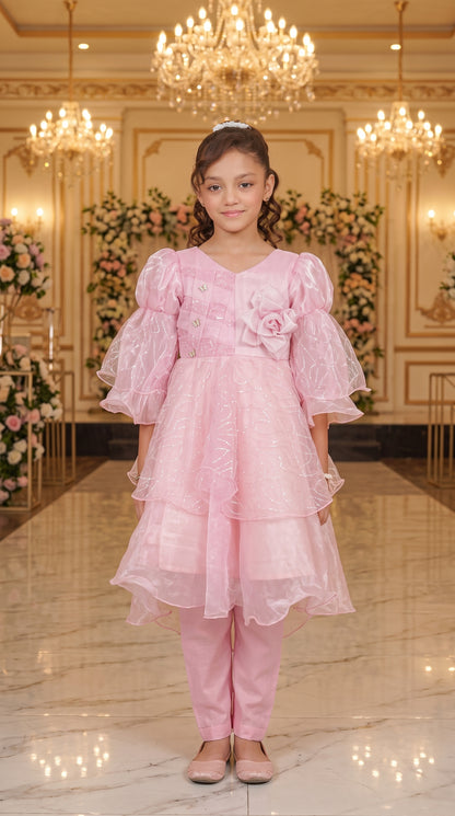 Beauty Bush Elegant Party Wear Net Frock Set