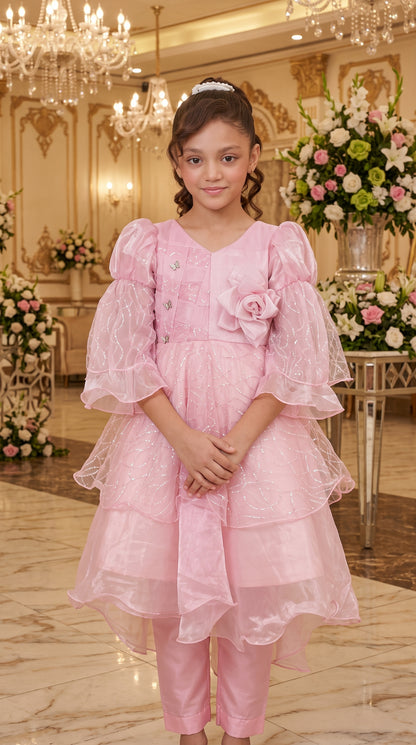 Beauty Bush Elegant Party Wear Net Frock Set