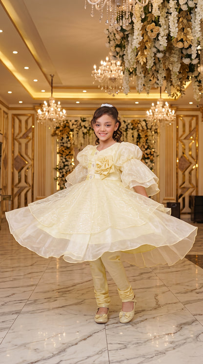 Vanilla Gold Elegant Party Wear Net Frock Set