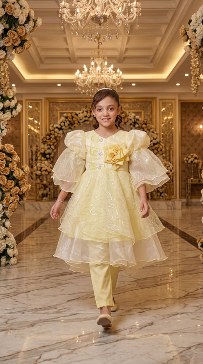 Vanilla Gold Elegant Party Wear Net Frock Set