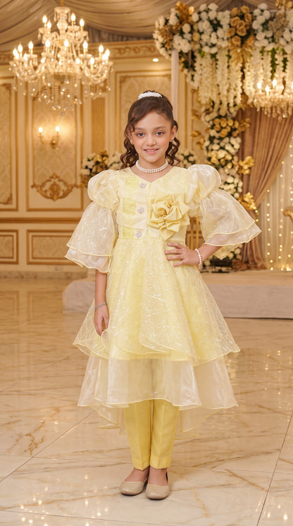 Vanilla Gold Elegant Party Wear Net Frock Set