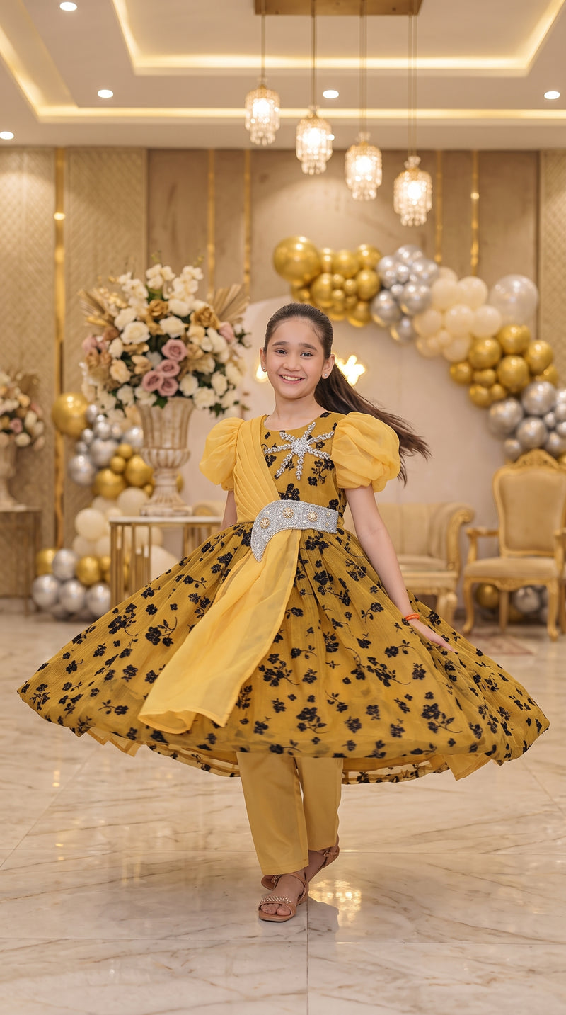 Golden Amber Grace Fancy Printed Tissue Frock Set