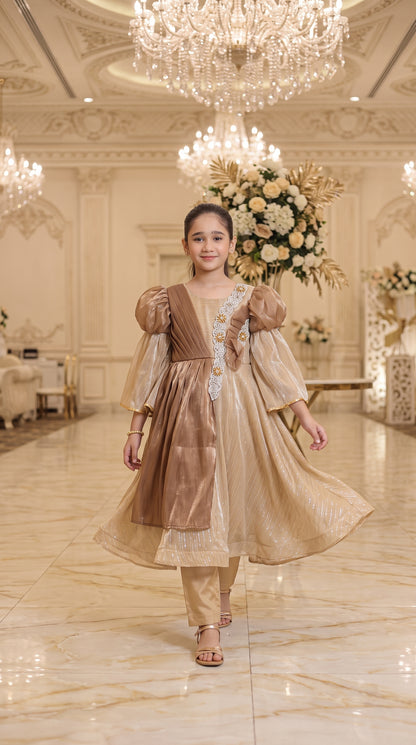 Champagne Gold Grace Fancy Tissue Partywear Frock Set