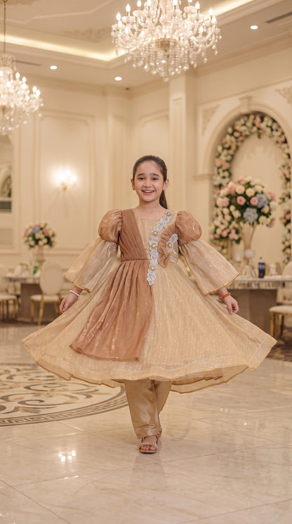 Champagne Gold Grace Fancy Tissue Partywear Frock Set