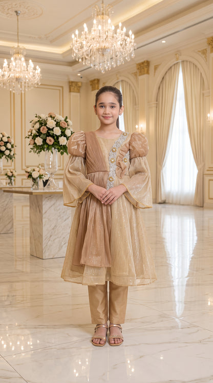 Champagne Gold Grace Fancy Tissue Partywear Frock Set